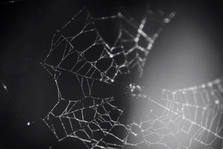 Affiliate Relationships Are Worth More Than the Commission